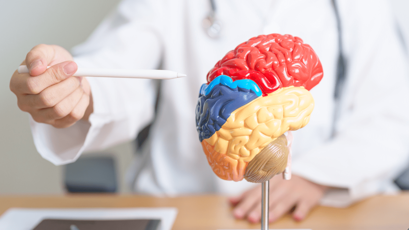 Fichas cognitivas para adultos mayores con Alzheimer 