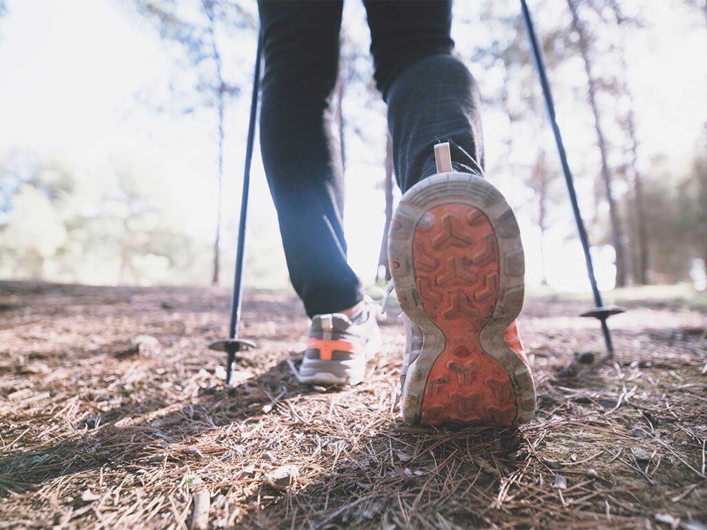 Minimiza y elimina una amplia gama de problemas de salud y sirve como profiláctico para las enfermedades cardíacas.